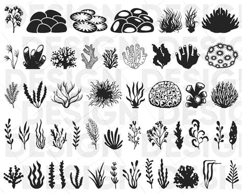 45 Corals Svg Bundle Coral Silhouette Coral Png Coral Etsy Canada