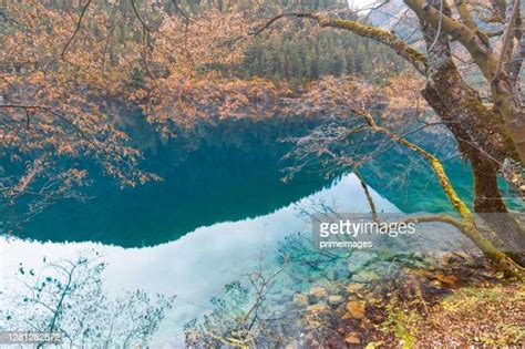 Five Flower Lake China Photos And Premium High Res Pictures Getty Images