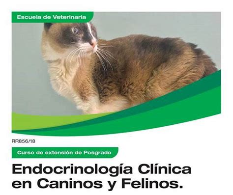 Endocrinología Clínica En Caninos Y Felinos Universidad Del Salvador