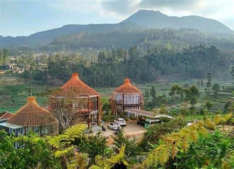 Bubu Jungle Resort Nikmati Staycation Di Dalam Sangkar Burung
