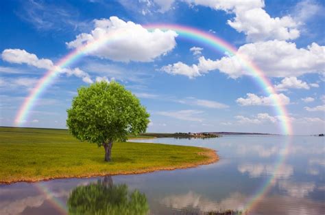 28 Nature Wallpaper Hd Rainbow Basty Wallpaper