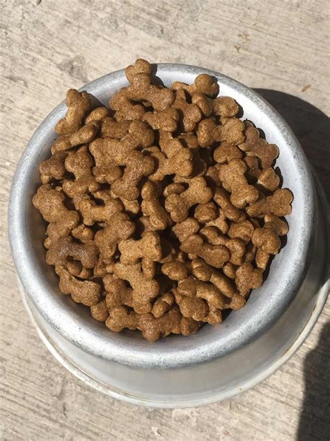 1.4 hidratos de carbono, ¡los justos, tu perro es carnívoro! Croquetas Para Perro - $ 550.00 en Mercado Libre