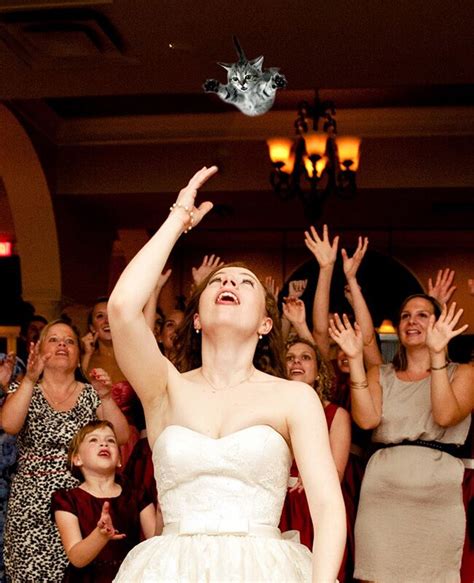 Brides Throwing Cats Is The Hottest Internet Meme Right Now