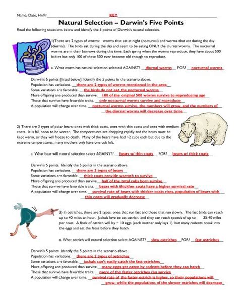 Discovery education add to my workbooks (7) download file pdf embed in my website or blog add to google classroom 5 Points Of Darwins Natural Selection Worksheet
