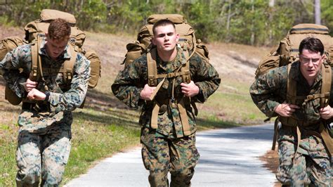 2/8 screens for future snipers > United States Marine Corps Flagship