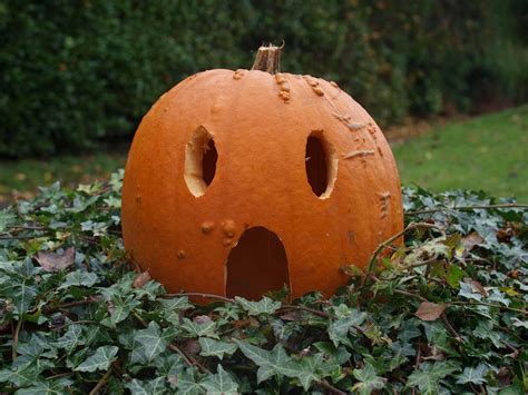 Crazy Pumpkin Carving Ideas - Cole Gardens