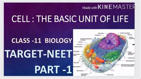 CELL THE BASIC UNIT OF LIFE CLASS 11 PART 1 CONCEPT CLEARED