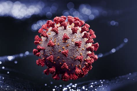 Is the coronavirus vaccine safe? Vacina contra coronavírus, estimada para setembro, começa ...