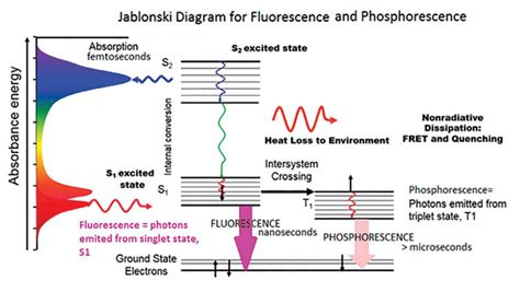 What Is The Jablonski Diagram