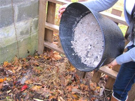 We did not find results for: Uses for wood ash | General Homesteading Discussion ...