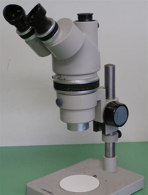 Cuantos Tipos De Microscopios Existen Y Cuales Son Tipos De 38468 Hot