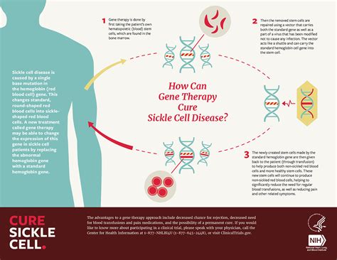 Genetic Therapies Cure Sickle Cell