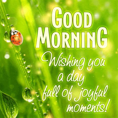 Wishing You A Day Full Of Joyful Moments Good Morning