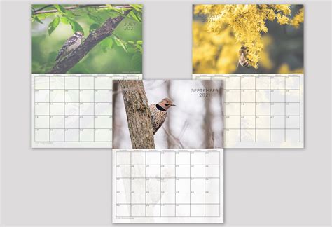 2021 Wall Calendar Bird And Wildlife Calendar For Home And Etsy