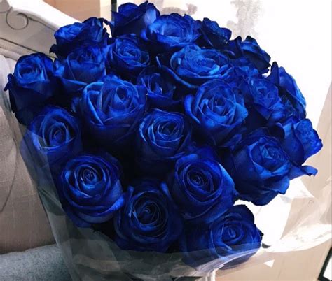 ورد أصفر (الاسم العلمي:rosa xanthina) هو نوع من النباتات يتبع جنس الورد من الفصيلة الوردية. ️🇰🇼 (@redkw1) | Twitter