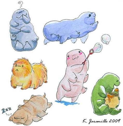 Tardigrade Drawing With Images Tardigrade Bear Art Animal Art