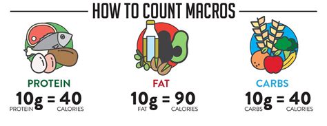 How To Count Macros What Are Macros And Tracking Them