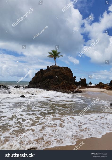 Tambaba Brazil May Tambaba Stock Photo Shutterstock