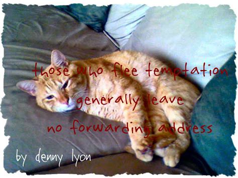 Dennys Funny Quotes Cat Philospher Curty Talks About Temptation