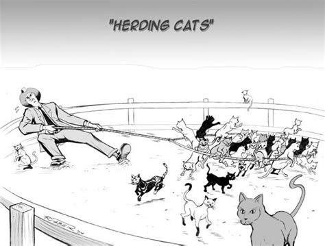 Herding Cats Lectures Class Cats