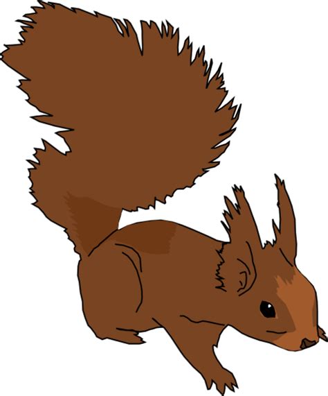 Download High Quality Squirrel Clipart Running Transparent Png Images