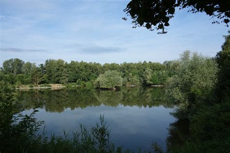 Der sehr schön und natürlich bewachsene see ist wohnraum zahlreicher wasservögel und fische. Quer durch das Messeler Hügelland - Powerwalker,s blog
