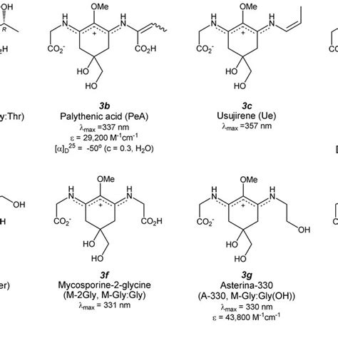 Pdf Mycosporine Like Amino Acids And Their Derivatives As Natural