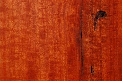 Most trees will reach 100 feet with 2 to 3 foot diameters. Ryan & McNulty Sawmillers - Mountain Ash, Spotted Gum ...