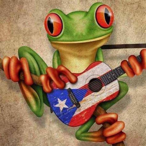 Coqui Playing Guitar Puerto Rico Art Puerto Rico Puerto Rico History