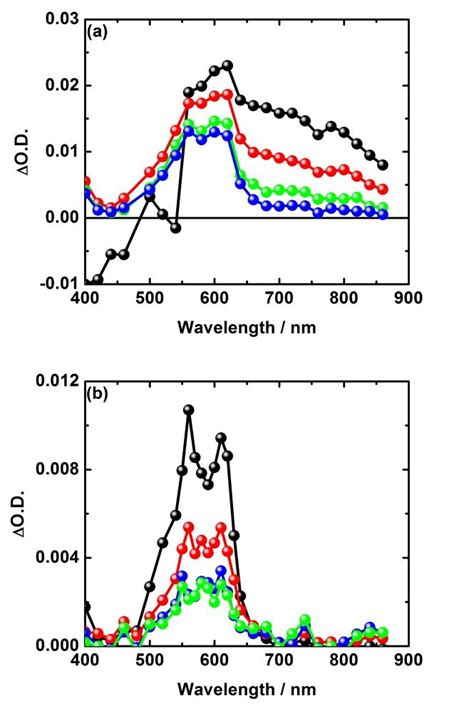 Nanosecond Laser Photolysis Absorption Spectra Recorded Upon 355 Nm