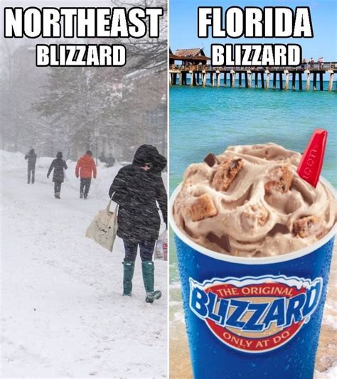 Brrr These Blizzards Make My Teeth Cold Florida Funny Florida Man