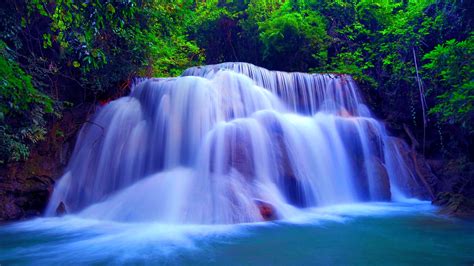 76+ Free Nature Background Images on WallpaperSafari