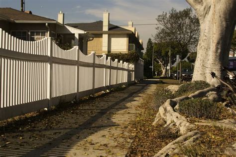 These include oaks, which have extensive root systems. Can Tree Roots Damage Your House Foundation? | Hunker