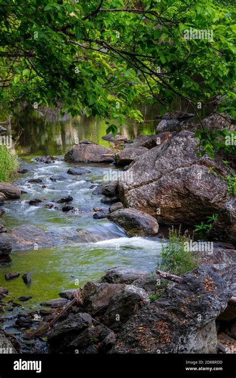 Rainforest Creek At Crystal Cascades Cairns North Queensland Stock