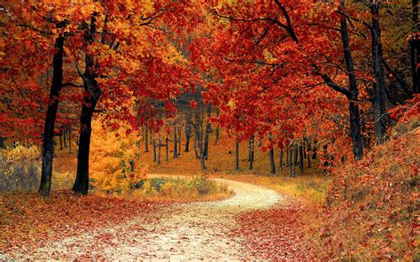 Autumn Season Wallpapers Top Free Autumn Season Backgrounds Wallpaperaccess