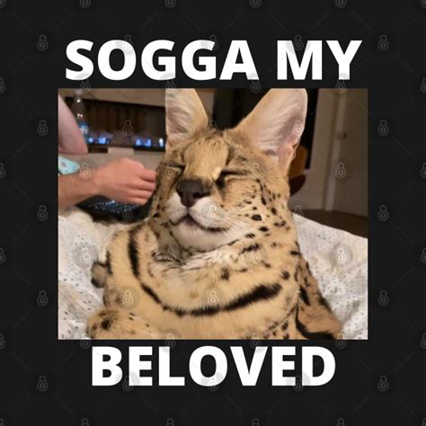 Sogga My Beloved Serval Meme Cat Meme Sogga My Beloved T Shirt