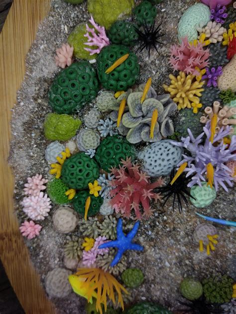 Miniature Coral Reef Polymer Clay Sculpture Sea Life Art Etsy