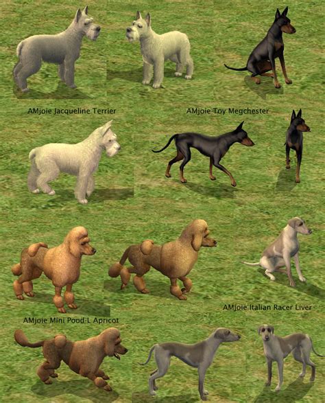 Mod The Sims Amjoie Dog Breeds Part One Small Dogs More Than Two