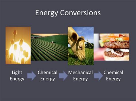 Ppt Types Of Energy And Energy Conversions Powerpoint Presentation Sexiezpicz Web Porn