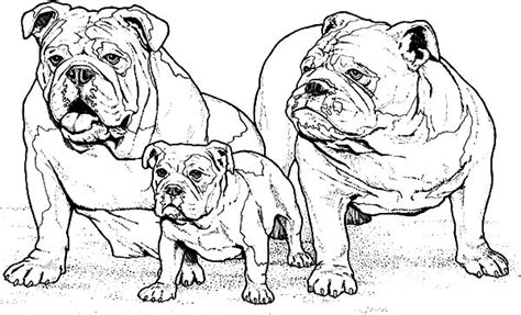 Boxer Dog Family Coloring Pages | Best Place to Color