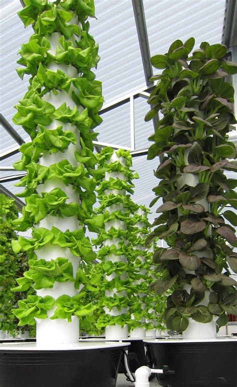 Vertical gardens are one of the most efficient ways of gardening. Future Growing® Tower Gardens® at The GreenHouse ...