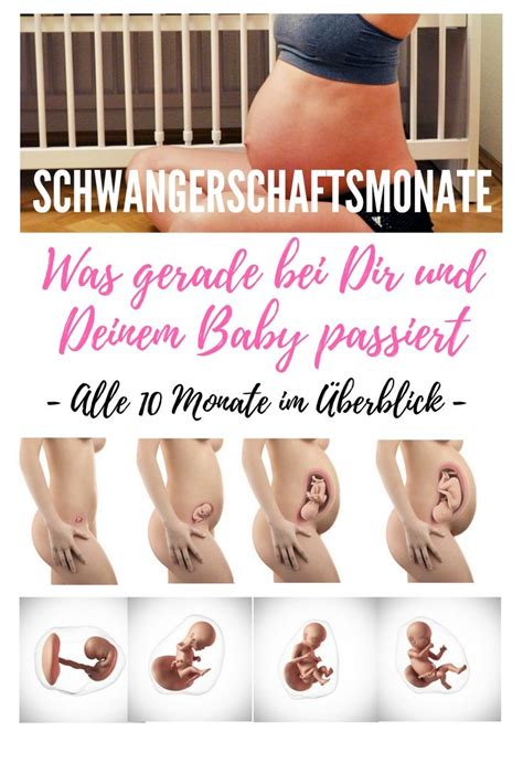 Wenn dieser test ebenfalls das ergebnis „nicht schwanger anzeigt und ihre periode immer noch nicht eingesetzt hat, suchen sie ihren arzt auf. 57 Best Photos Schwangerschaft Was Passiert Wann ...