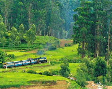 Ooty Tour Package From Trichy Channai Tamilnadu 195914holiday