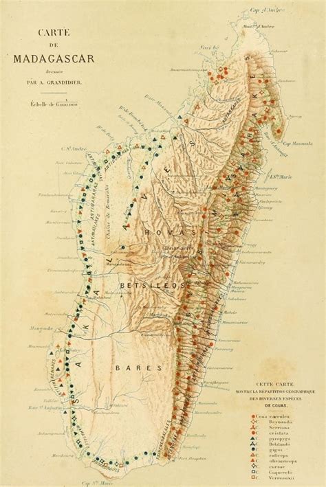 Map The Natural History Of Madagascar 1885 Madagascar Poster Print