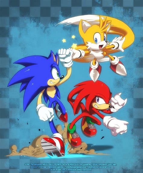 Knuckles The Echidna Sonic Tail Wallpapers Wallpaper Cave