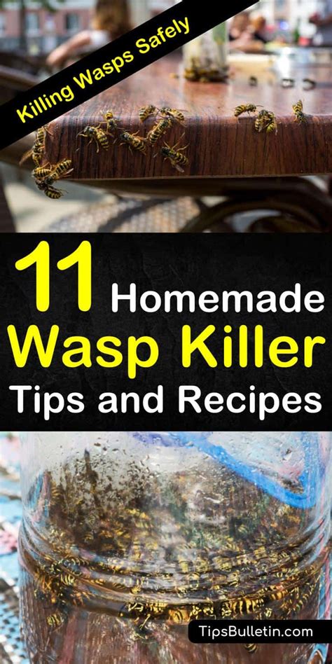 Killing Wasps Safely 11 Homemade Wasp Killer Tips And Recipes 2022