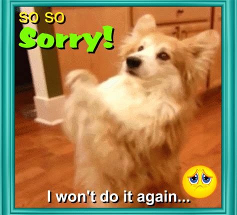 My Sorry Free Sorry Ecards Greeting Cards 123 Greetings