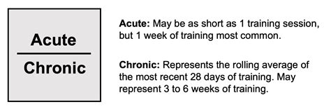 Knee Plica Syndrome Exercises P Rehab