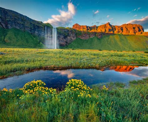 Landscape Photography Fresh Green View Of Seljalandfoss Waterfall