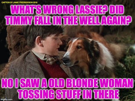 Image Tagged In Lassie Saves The Day Imgflip